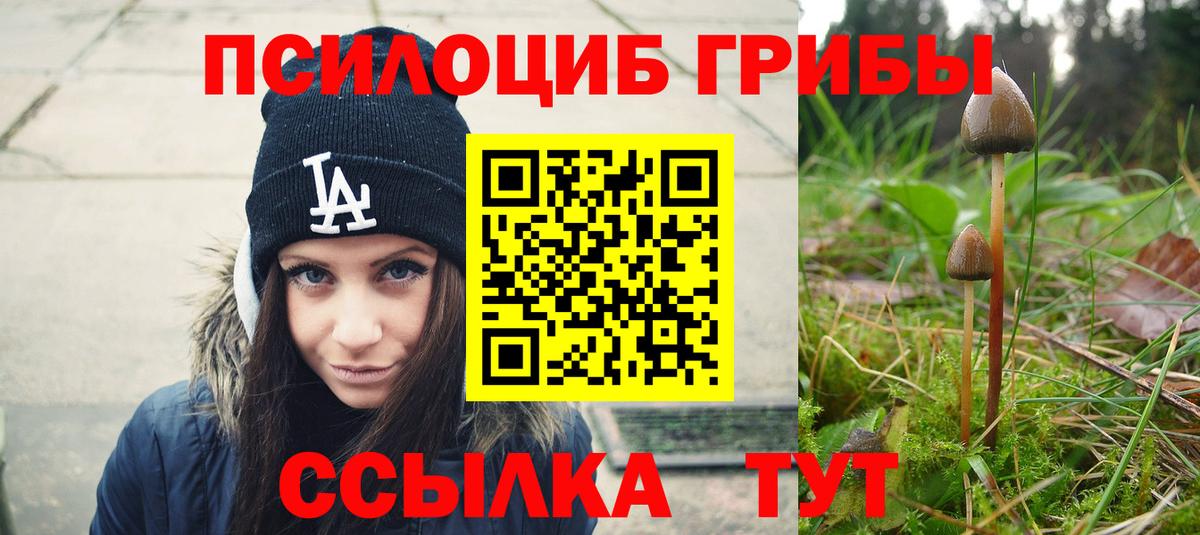 Галлюциногенные грибы Magic Shrooms  Вход с VPN  Апрелевка 